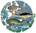 mosaico della Domus di Rimini